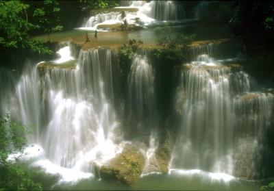 nature nature